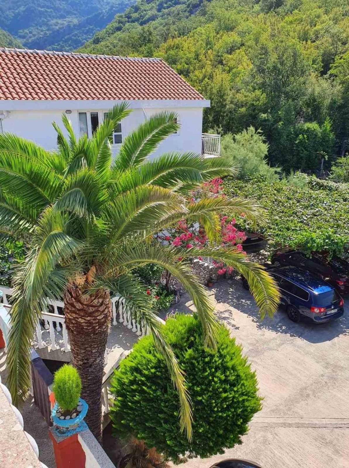 Apartments Radonjic Budva Buitenkant foto